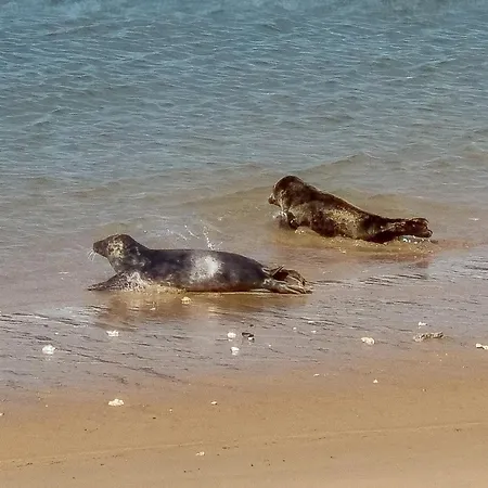 Apartment Park Fenomenaal App Met Zwembad En Gym! *