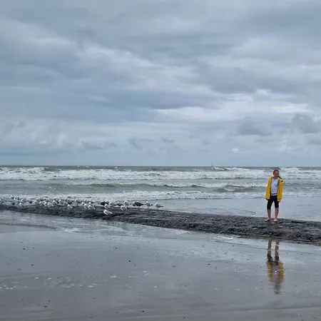 Apartment Park Fenomenaal App Met Zwembad En Gym!