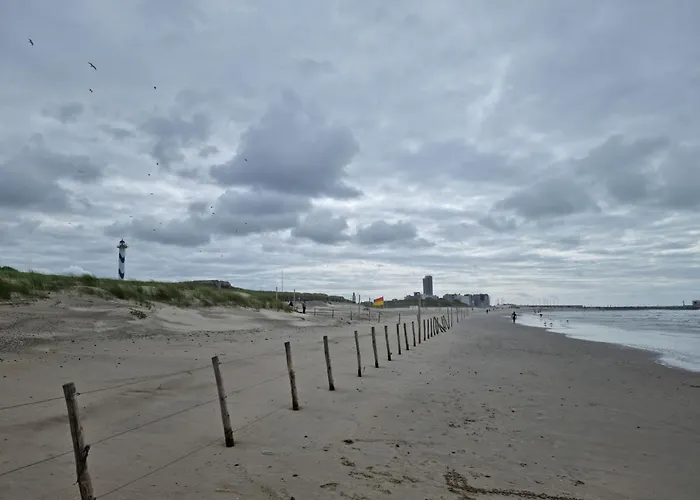 Apartment Park Fenomenaal App Met Zwembad En Gym! *